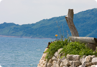 工房とったん　道路冠水の為、午前中臨時休業