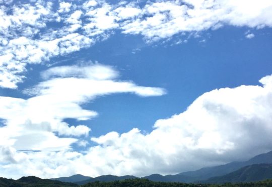 スミカフェからのお知らせ