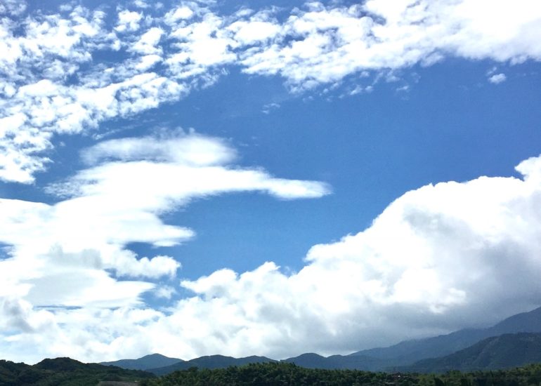 スミカフェからのお知らせ