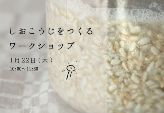 【ワークショップ】第3回「しおこうじをつくる」1月開催のお知らせ