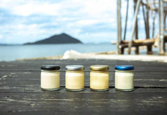 『しおをかけてたべるプリン』リニューアルに伴う価格改定のお知らせ