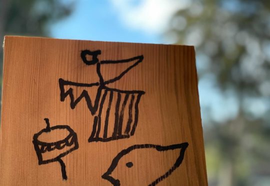 おしのちいたま開業します。