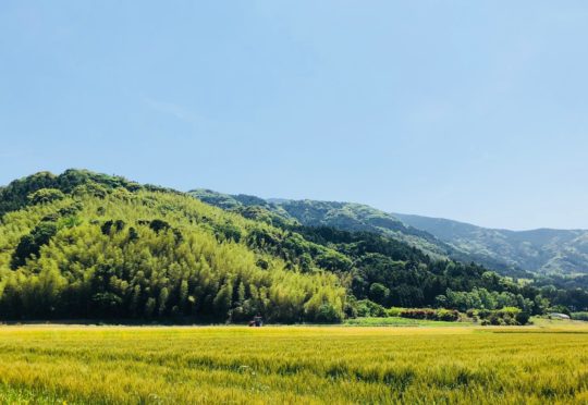 営業日が変更になりました（季節屋、Sumi Cafe）