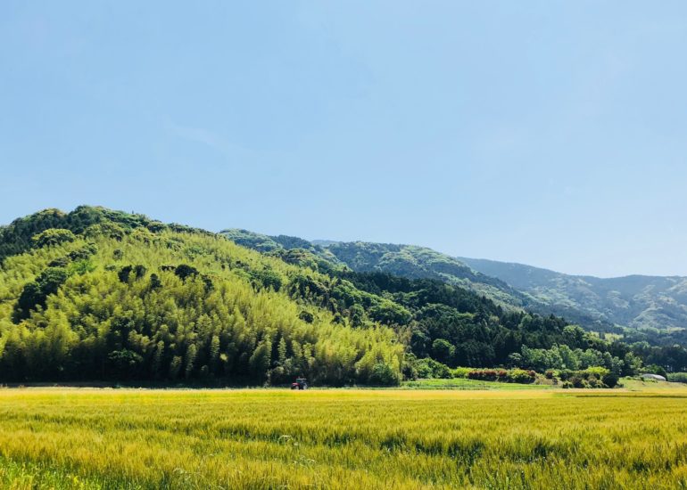 営業日が変更になりました（季節屋、Sumi Cafe）