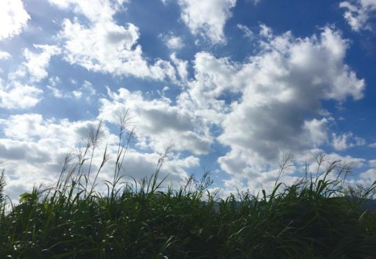 10月10日(木)　店休日のお知らせ