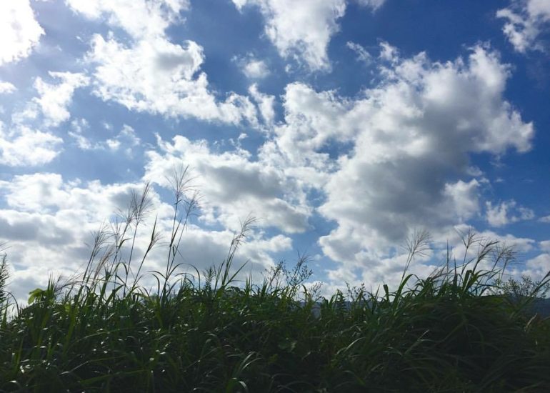 10月10日(木)　店休日のお知らせ