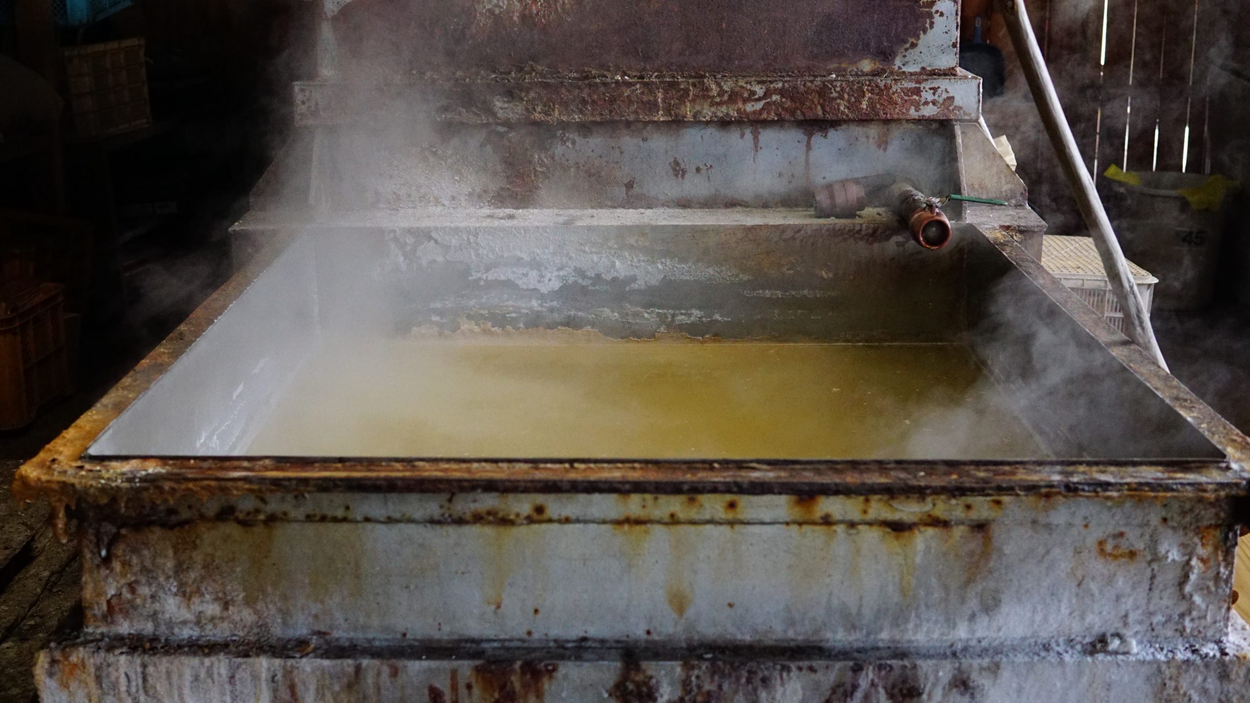 �ޤ������α����Ʊ�