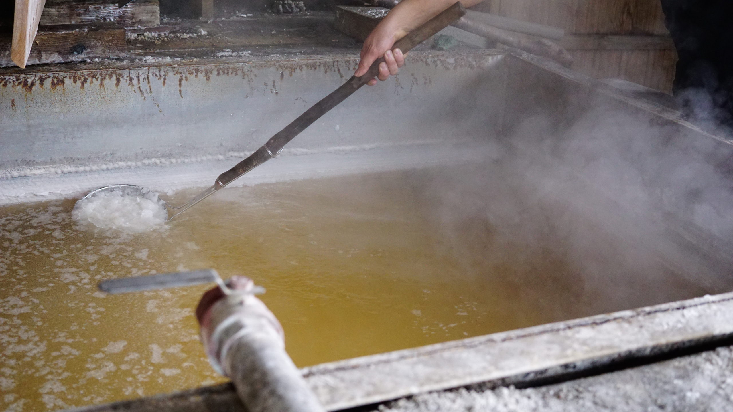 �ޤ������α����Ʊ�