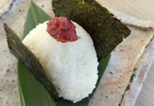 春の行楽時期はおむすびを持って出かけよう！