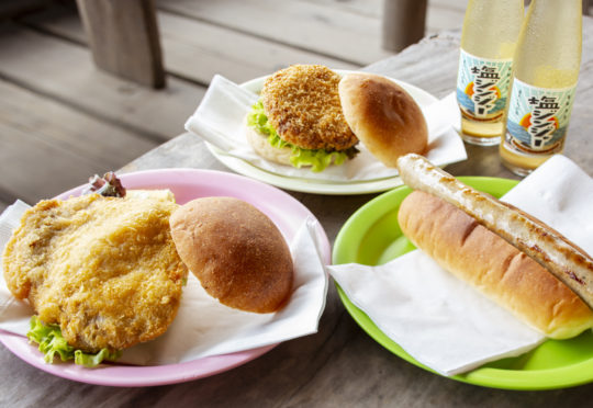 臨時休業8/27-29　(工房とったんは営業しています）