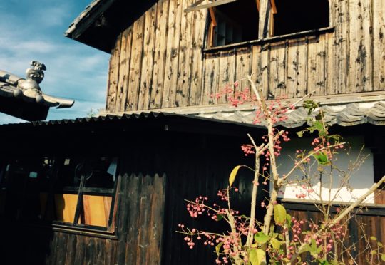 SUMI CAFEと。11月のお知らせ。