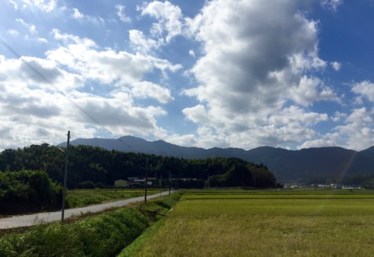 春の陽気にぴったりな、すっきり優しいコーヒーです