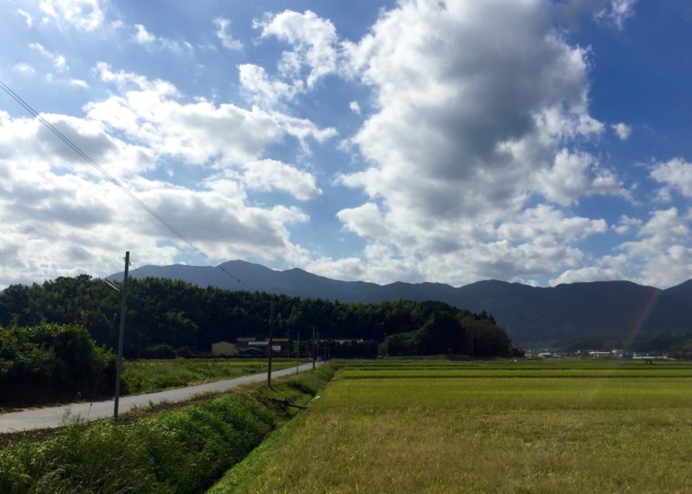 春の陽気にぴったりな、すっきり優しいコーヒーです