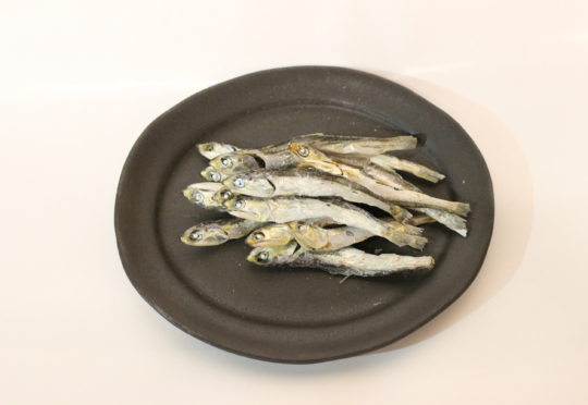 ワークショップ開催間近です！