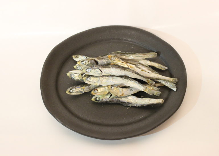 ワークショップ開催間近です！