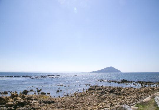 工房とったんにお越しの皆様へ