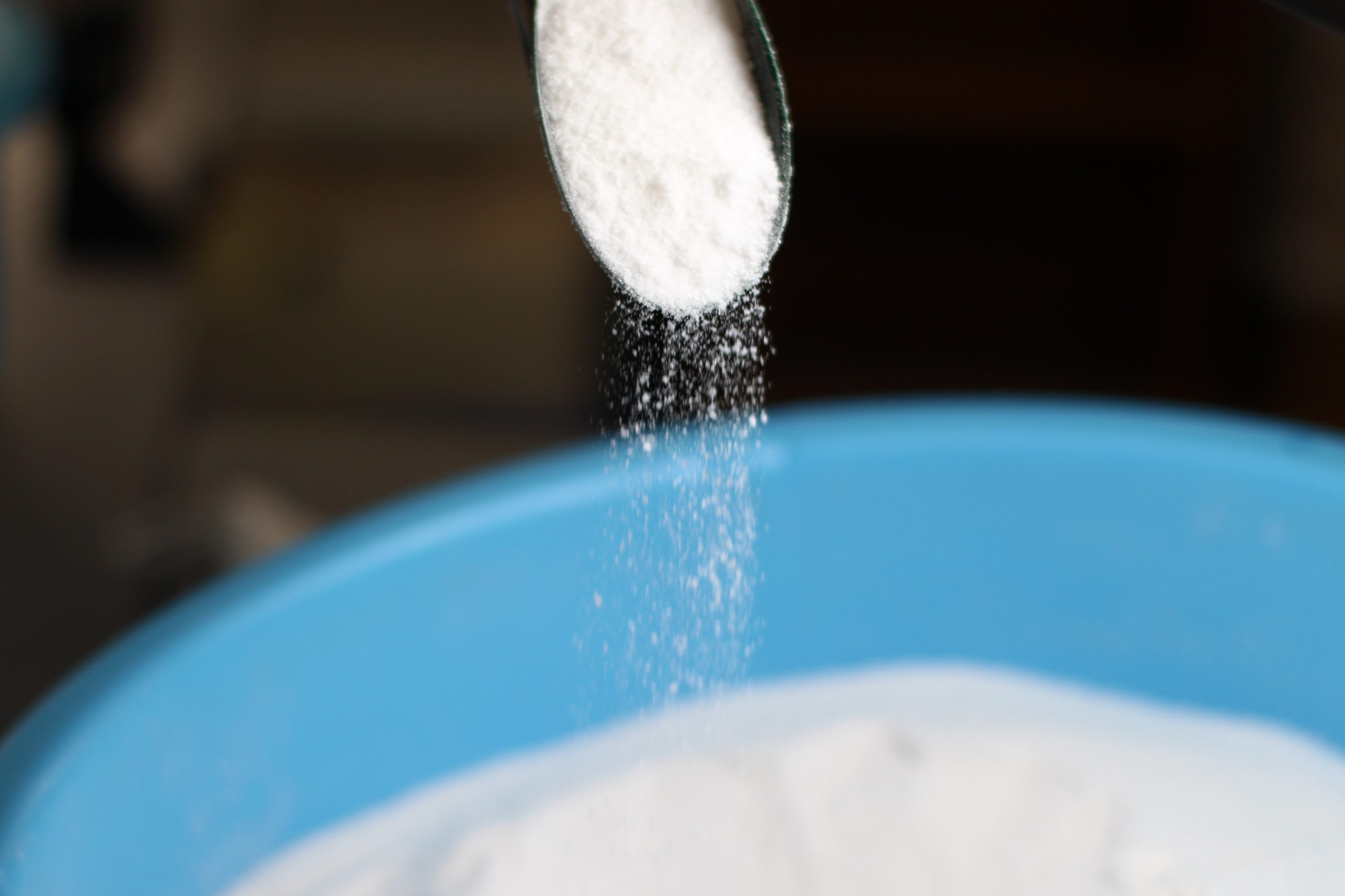 �ޤ������α����Ʊ�