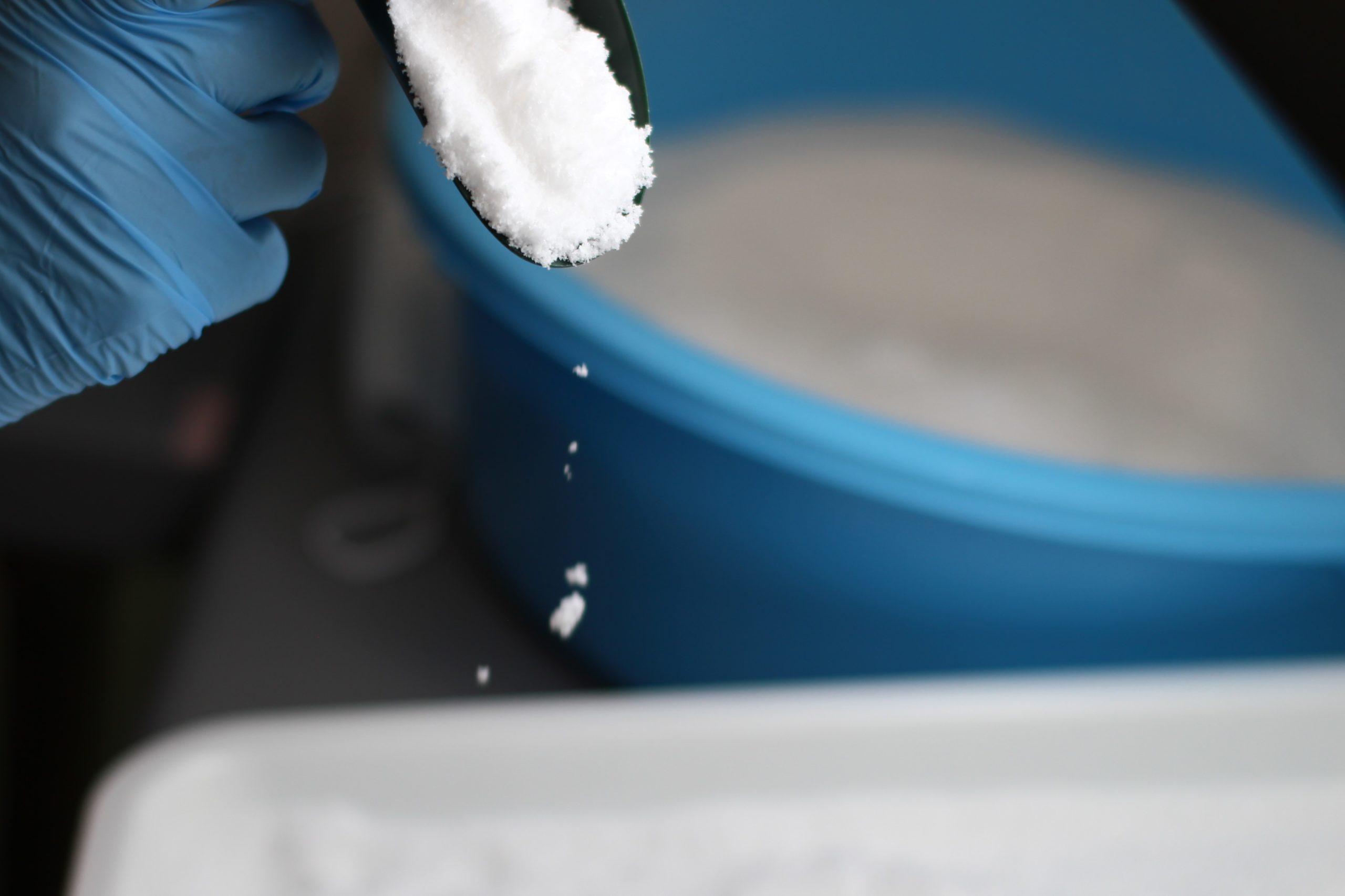 �ޤ������α����Ʊ�