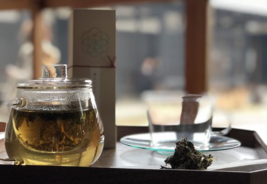 新メニューとワークショップのご案内