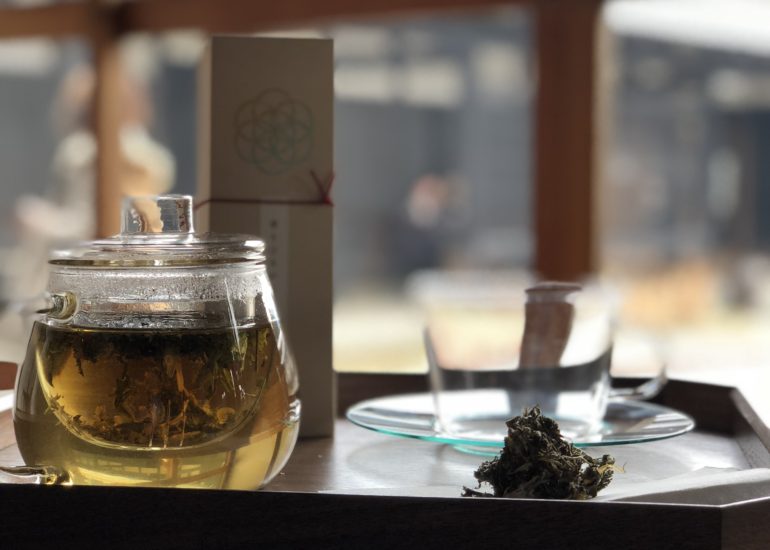 新メニューとワークショップのご案内