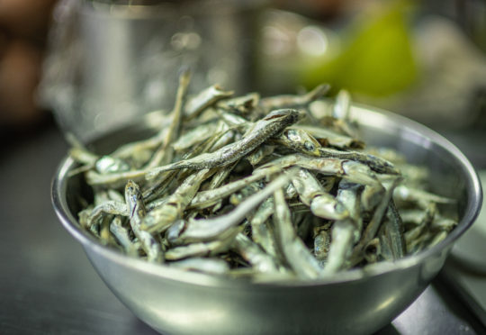 【お知らせ】「本当に美味しいいりこ」ワークショップ開催！