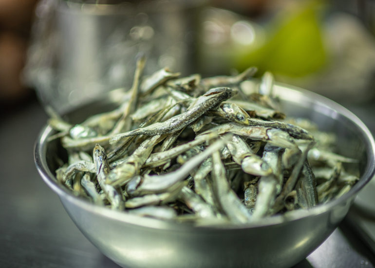 【お知らせ】「本当に美味しいいりこ」ワークショップ開催！