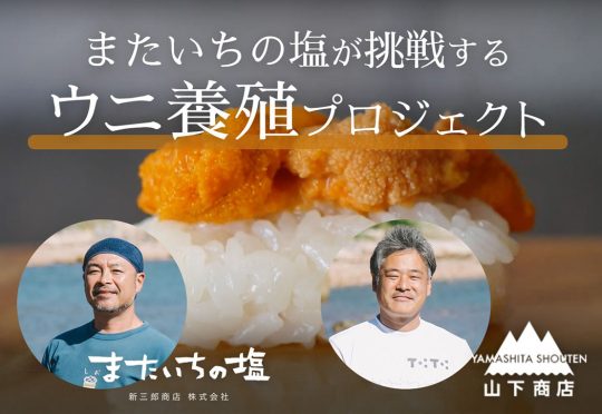 ウニ養殖プロジェクトに挑戦します！